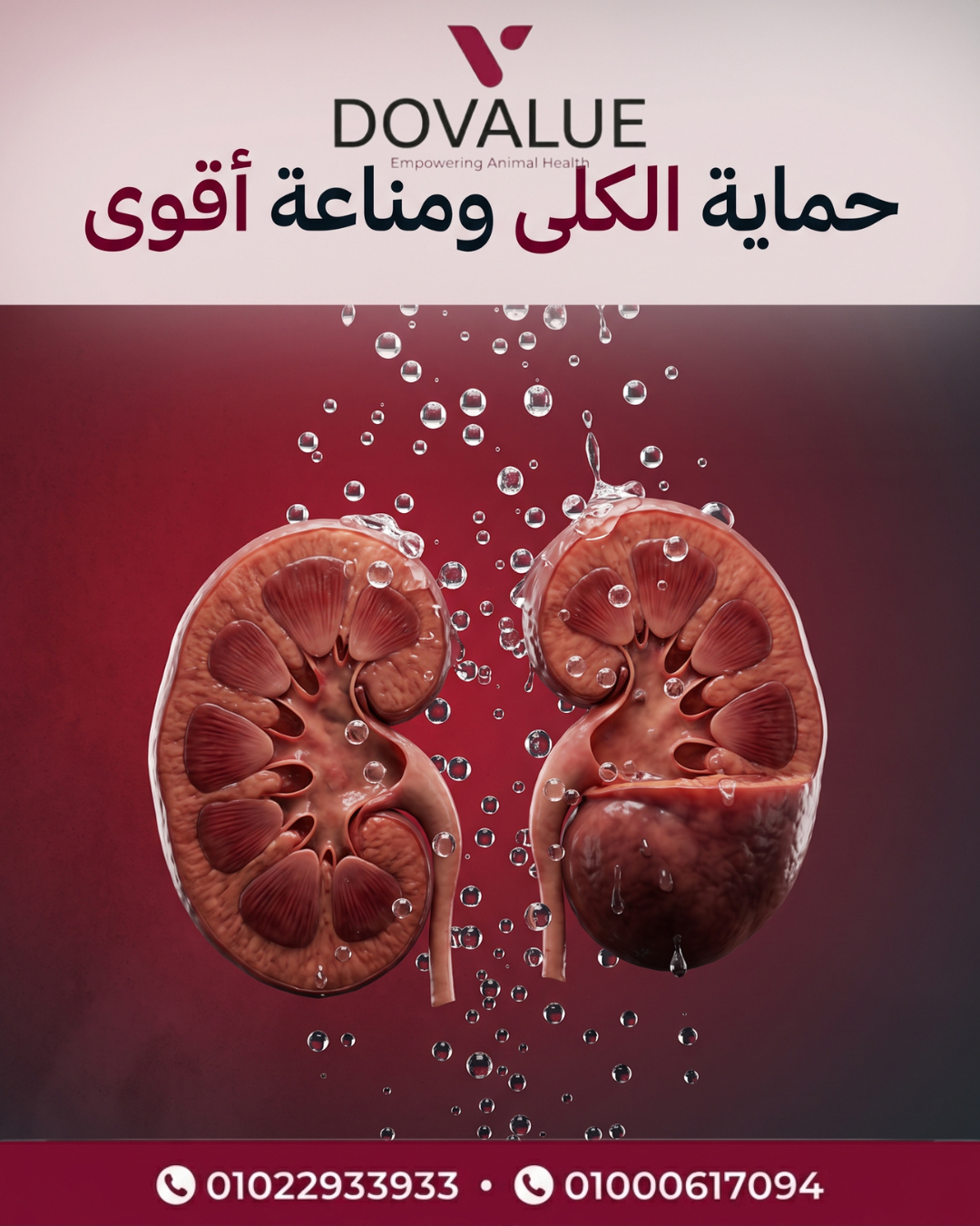 الشريحة 2